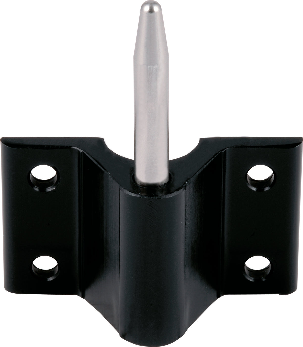 Transom Pintle