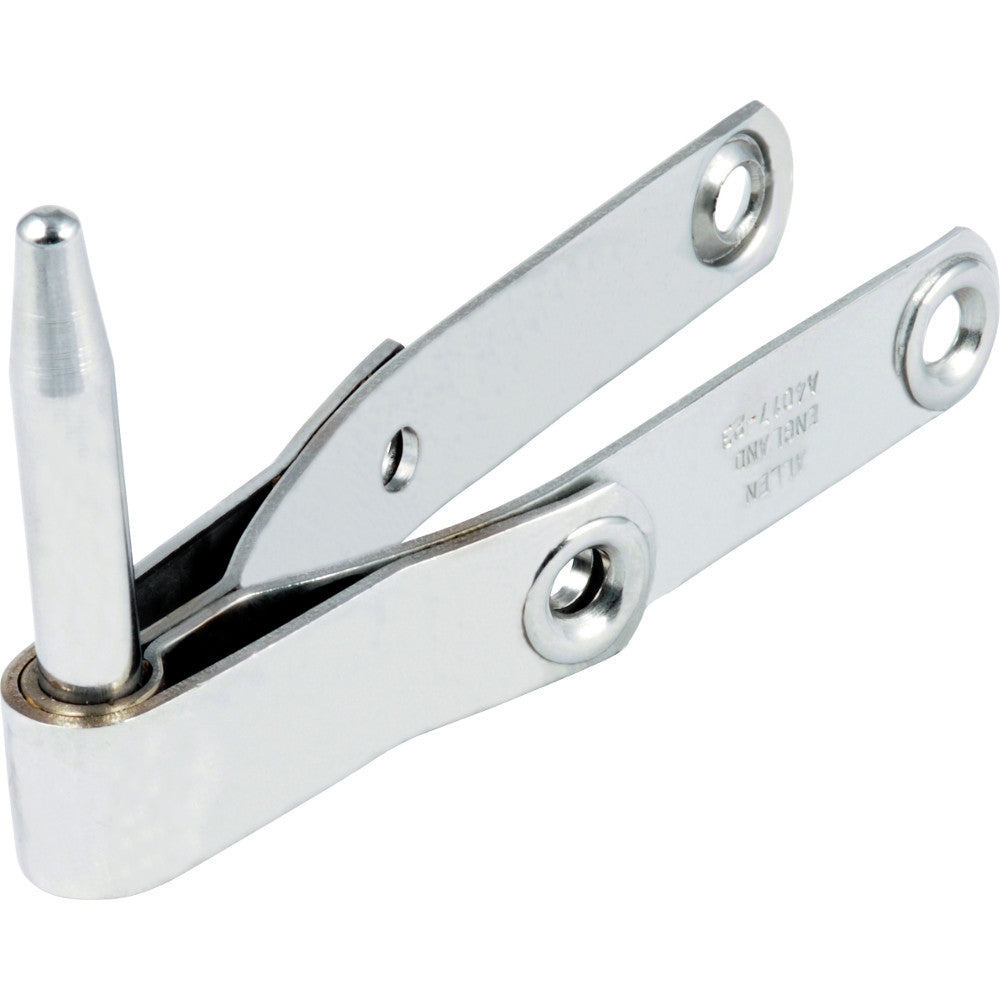 Rudder Pintle