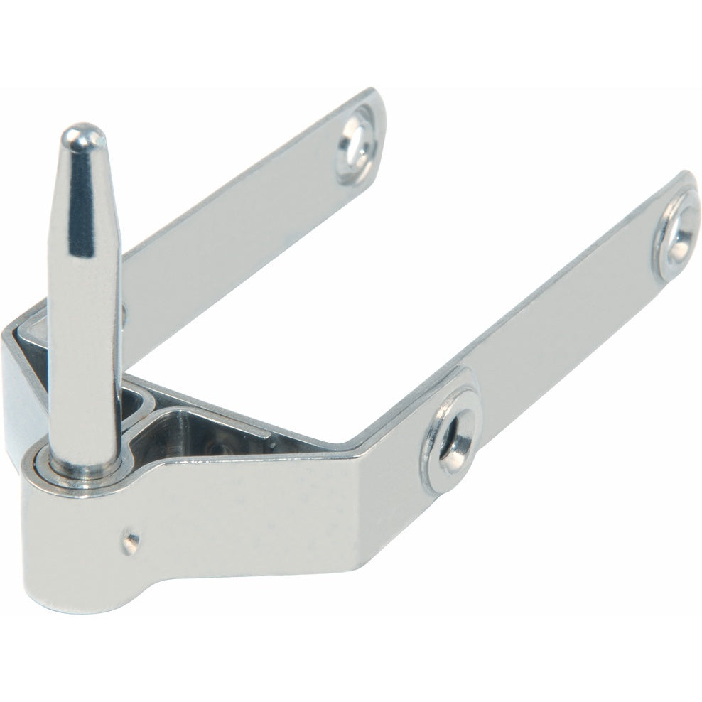 Rudder Pintle