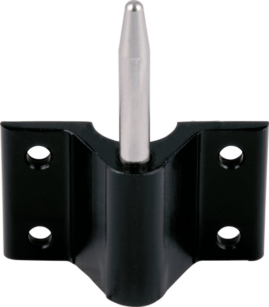 Transom Pintle