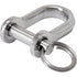 D Shackle Extra Small With Clevis Pin